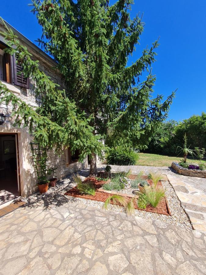 Stonehouse Ana With Jacuzzi Rovinj-Krmed Villa Dış mekan fotoğraf