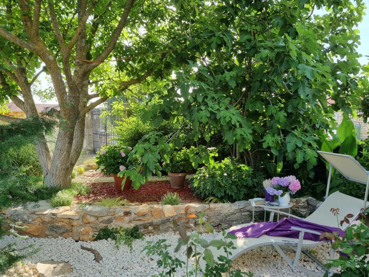 Stonehouse Ana With Jacuzzi Rovinj-Krmed Villa Dış mekan fotoğraf